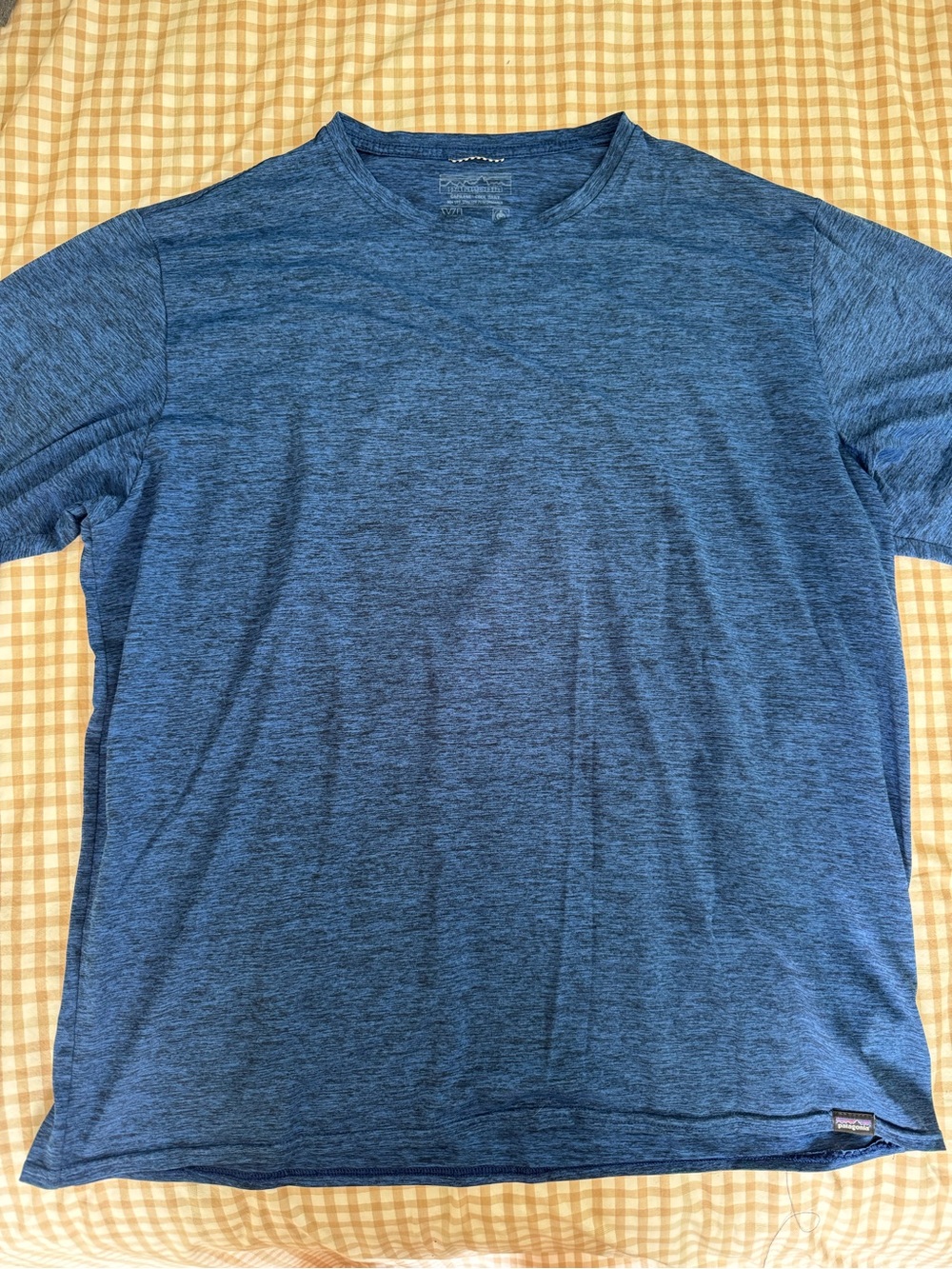 Patagonia Capilene cool daily Tee
